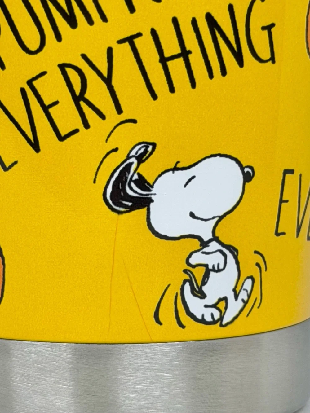 Peanuts Snoopy Pumpkin Everything Fall 20oz Metal Coffee Tumbler Coffee Travel